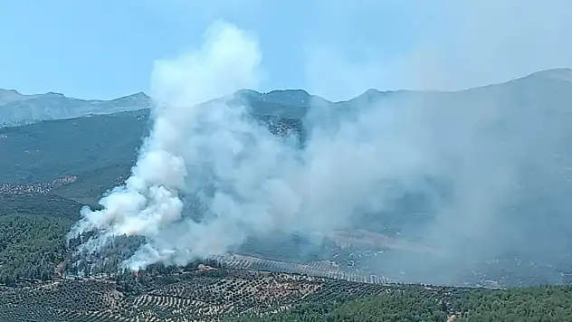 Hatay'da orman yangını