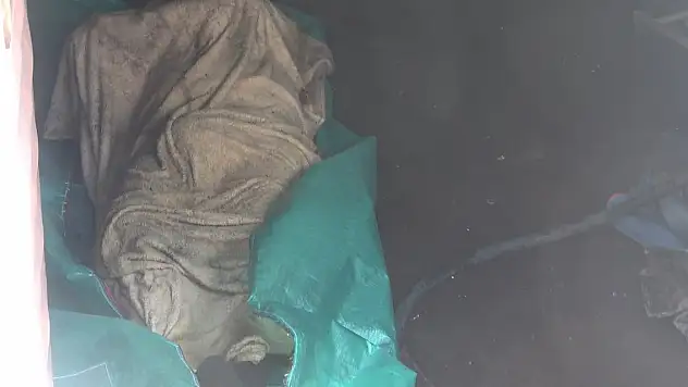 Yalnız yaşadığı evinde öldü