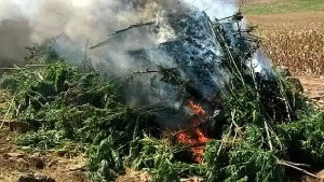 Diyarbakır'da uyuşturucu operasyonu