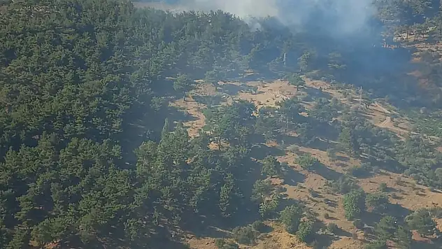 İzmir'de orman yangını