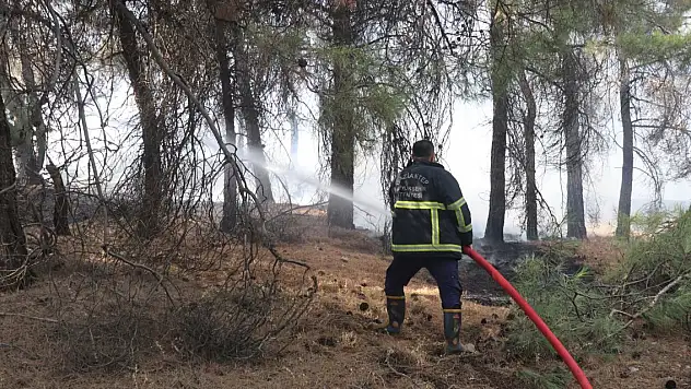 Gaziantep'te orman yangını
