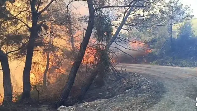 Adana'da yangını... 10 ev tahliye edildi