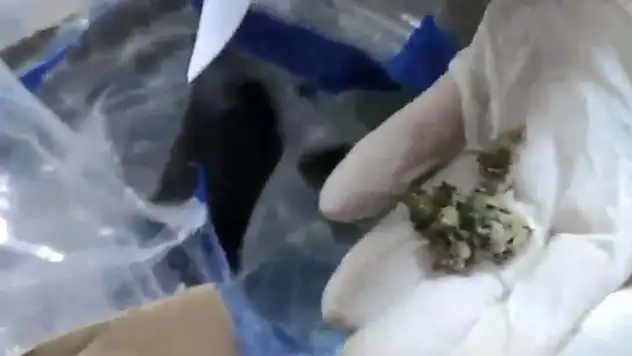 Kargo paketindeki 15 kilo esrara 1 tutuklama