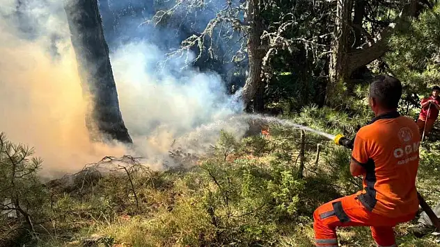 Uludağ'ın eteklerinde korkutan yangın