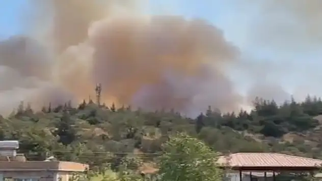 Gaziantep'teki orman yangını 1 saatte söndürüldü
