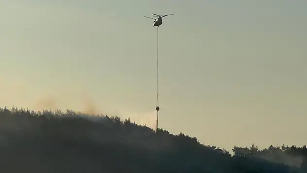 Manisa'nın Kırkağaç ilçesinde orman yangını