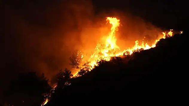 İzmir'de orman yangınına sebep olan kişi tutuklandı