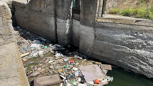 Sulama kanalında can pazarı