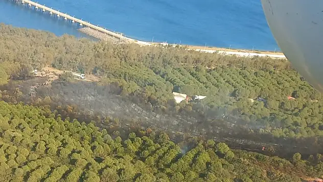 İzmir'de çıkan orman yangını kontrol altında
