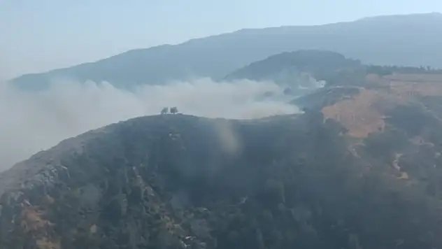 Hatay'da orman yangını