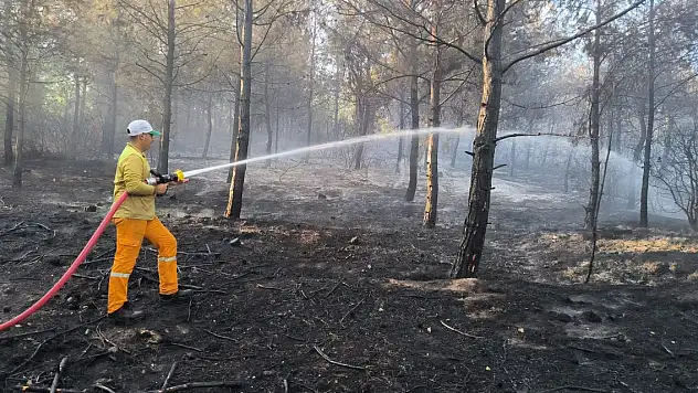 Orman yangını 15 saat sonra kontrol altında