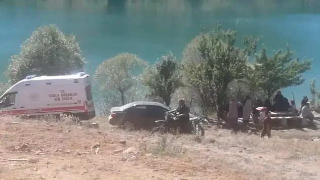 Gölette boğulma tehlikesi geçiren 3 torununu kurtardı, kendisi öldü