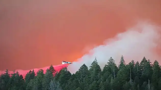 Tarihin en büyük 4. orman yangını: 400 bin dönümden fazla alan kül oldu