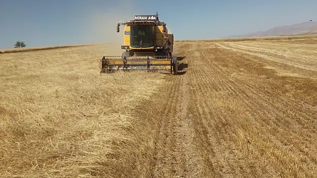 TMO hububat alımı başlıyor
