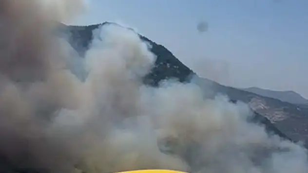 Aydın'da makilikte çıkan yangın, ormana sıçradı