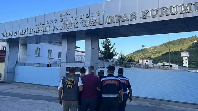 Yasadışı kenevir ekimi yapan 2 kişi tutuklandı