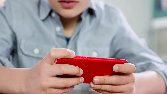 Çevrimiçi oyun platformu Roblox mahkeme kararıyla erişime kapatıldı