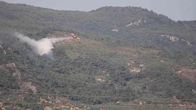 Aydın'daki orman yangını kontrol altında