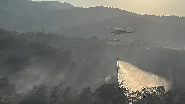 Muğla Milas'taki orman yangınında 2'nci gün