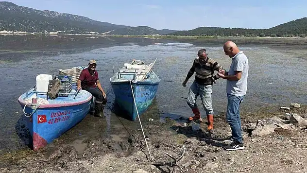 Beyşehir Gölünde avlanan balıklara boy limiti denetimi