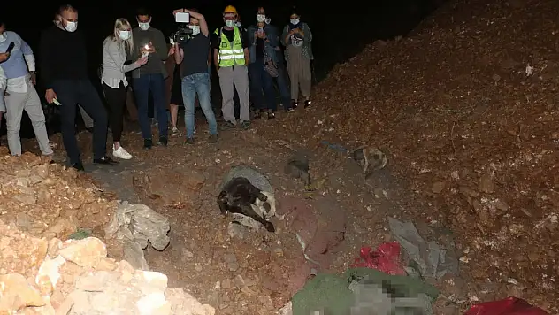 Ankara'nın Altındağ ilçesinde barınak yakınında 11 köpek ölüsü bulundu soruşturma başlatıldı