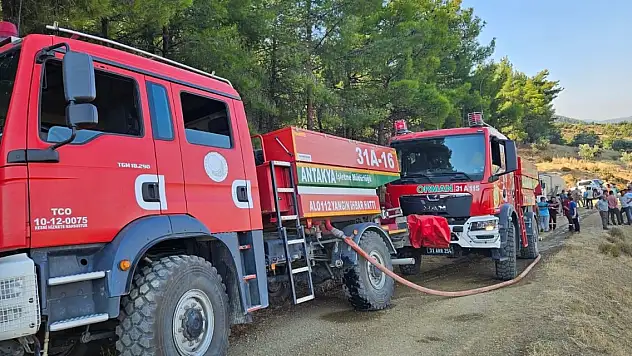 Hatay'da orman yangını 1,5 saatte kontrol altına alındı