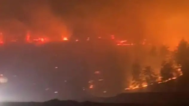 Kahramanmaraş'ta orman yangını