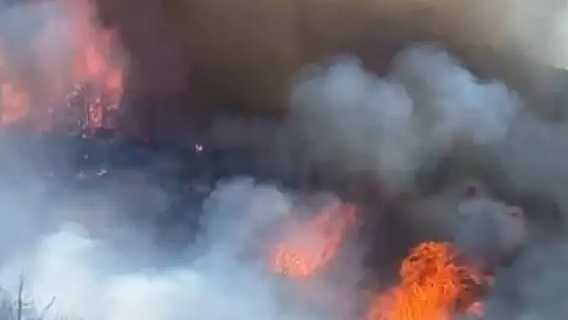 Yangın 8 hektarı küle çevirdi