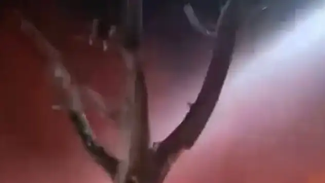 Mangal ateşi binayı yaktı