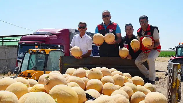 Çiftçiler yüzde 75 tasarruf sağladı