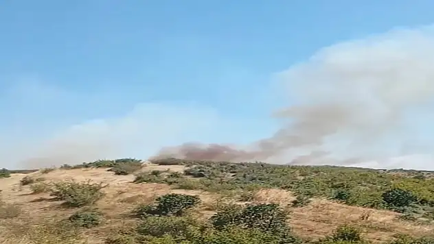 Edirne'de orman yangını