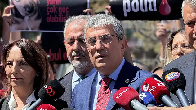 CHP, sahipsiz hayvanlarla ilgili düzenlemelerin iptali istemiyle AYM'ye başvurdu