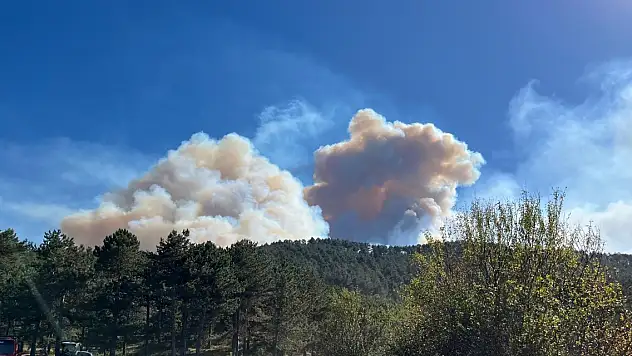 Bolu'daki orman yangını Eskişehir il sınırına yaklaştı