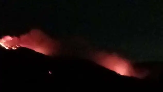 İzmir'de orman yangını çıktı