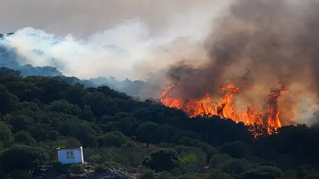 İzmir ve Manisa'daki orman yangınlarına müdahale sürüyor
