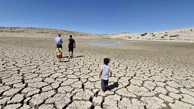 Karaman'da baraj kurudu, binlerce balık telef oldu