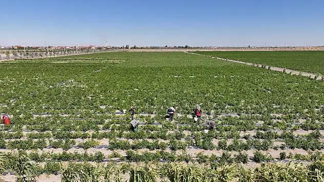 Karatay Belediyesi, ata yadigarına sahip çıkıyor