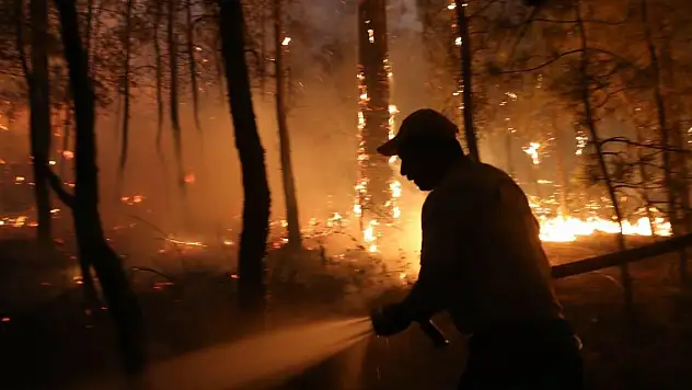 Aydın'daki orman yangınında 2'nci gün