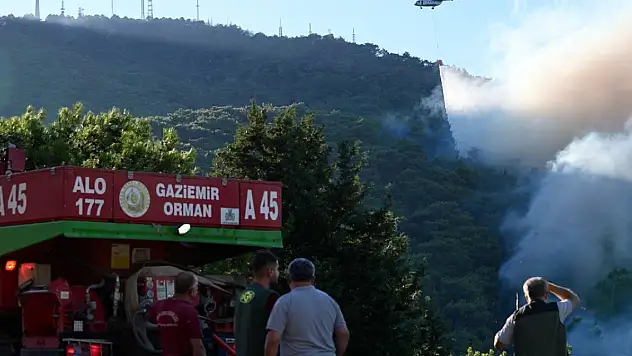 İzmir'deki orman yangınına havadan müdahaleye yeniden başlandı