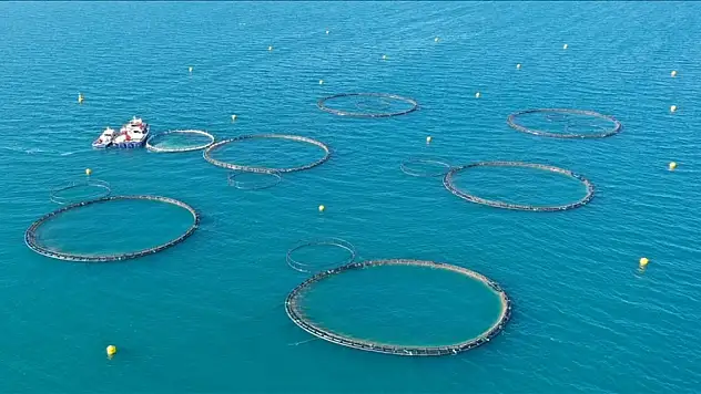 Su ürünleri yetiştiriciliği kriterlerinde düzenlemeye gidildi