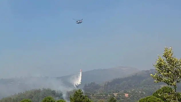 Aydın Bozdoğan'daki orman yangını 19'uncu saatinde