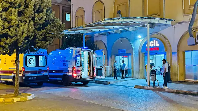 Mardin'de otomobilin çarptığı güvenlik korucusu öldü