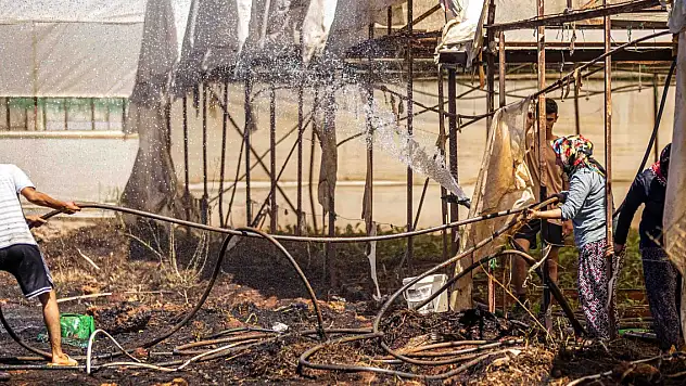 Antalya'da orman yangını 1 saatte kontrol altına alındı