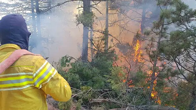 Karabük'teki orman yangını rüzgarın etkisiyle yayılıyor