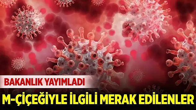 Sağlık Bakanlığı 'maymun çiçeği rehberi' yayımladı