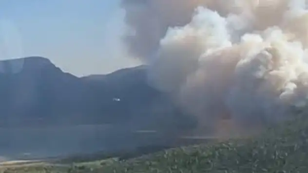 İzmir Menderes'te orman yangını