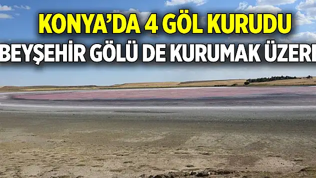 Konya'da 4 göl kurudu  Beyşehir Gölü de kurumak üzere