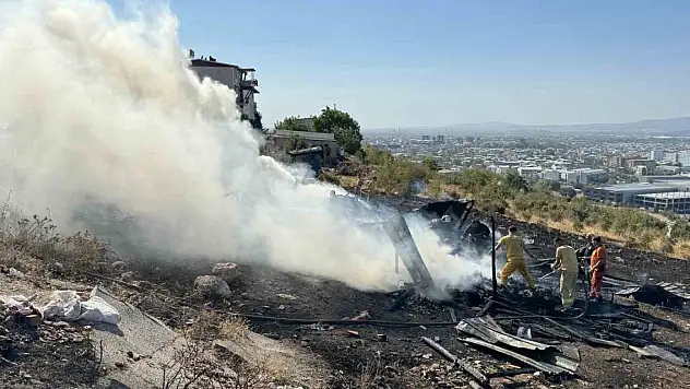 Ormanlık alan büyük tehlike atlattı