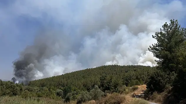 Bir ilde daha orman yangını