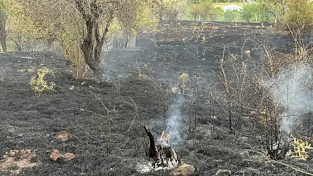 Orman yangınlarıyla ilgili provokatif paylaşım yapanlar hakkında işlem başlatıldı!
